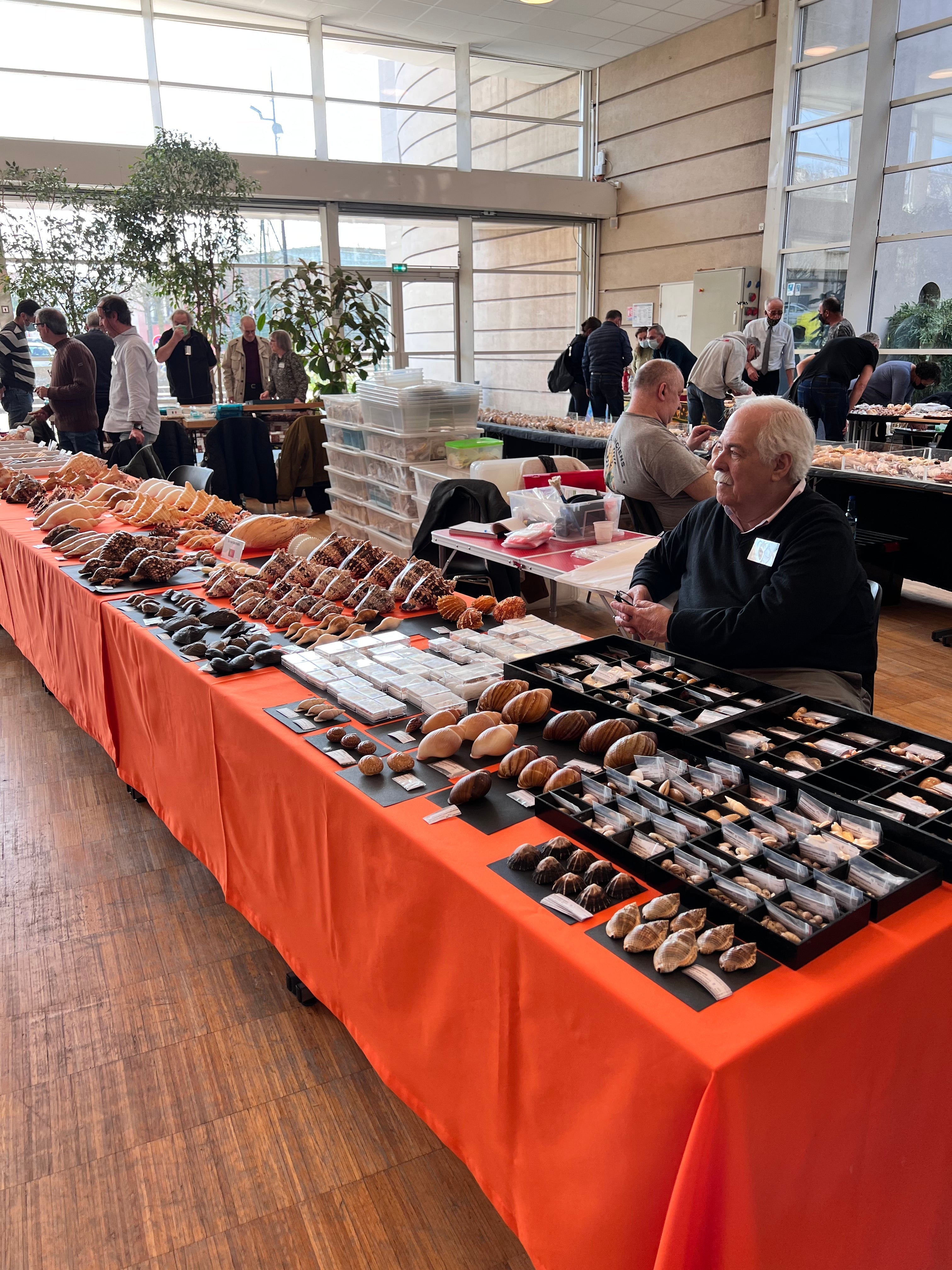 Shell Show - Chelles, France March 2022