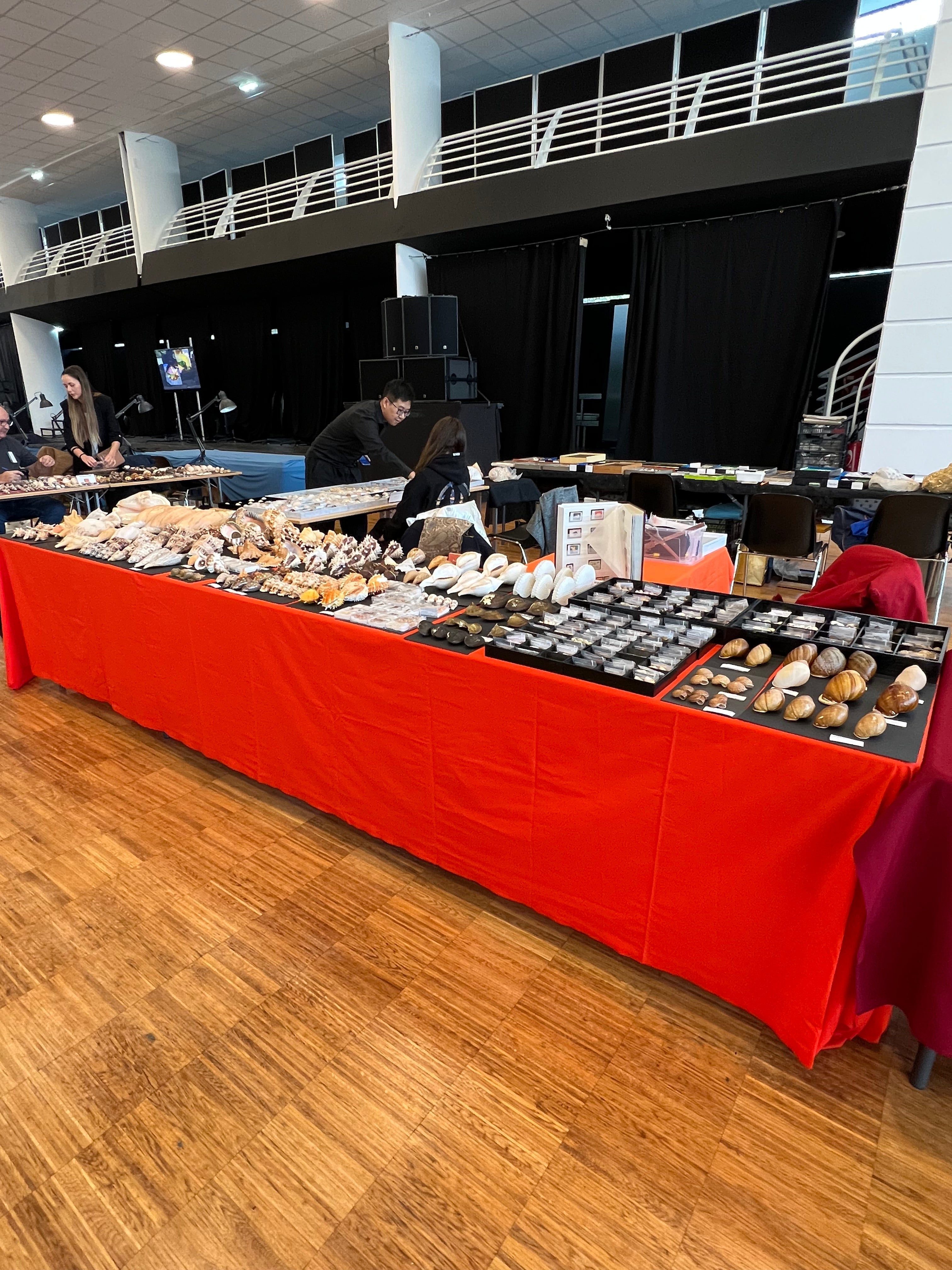 Shell Show - Chelles, France March 2023