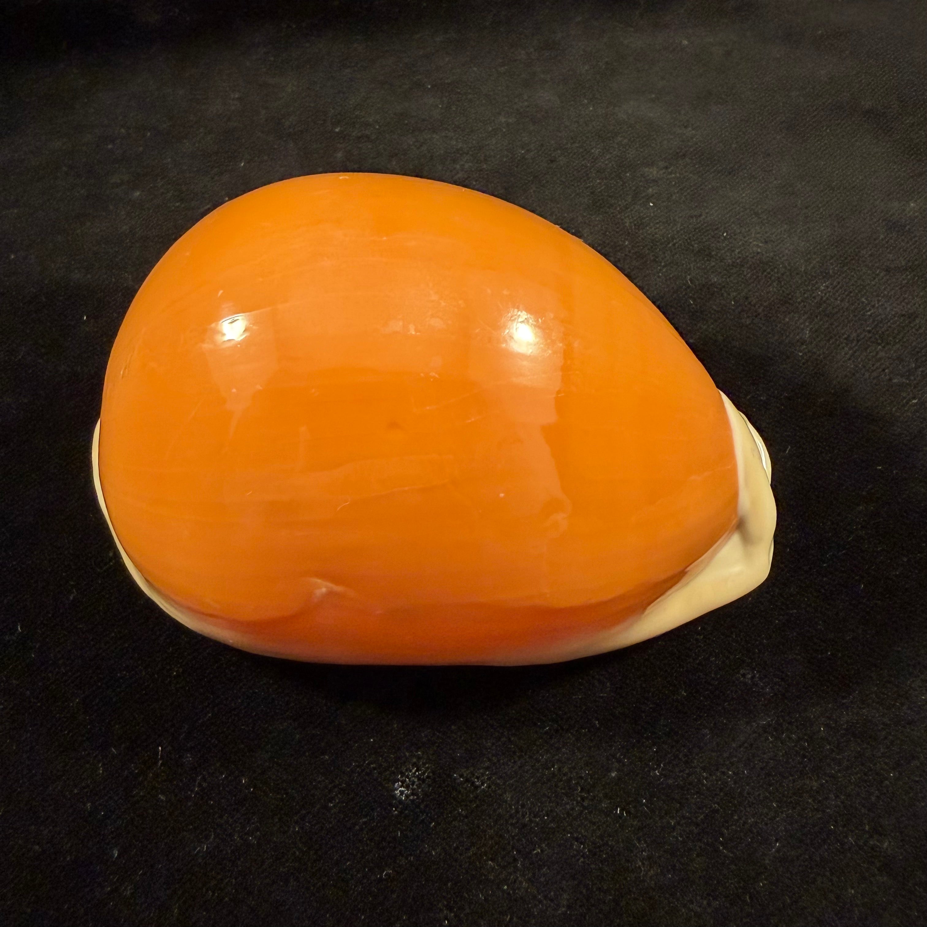 Callistocypraea aurantium (Gmelin, 1791) - 89,8mm