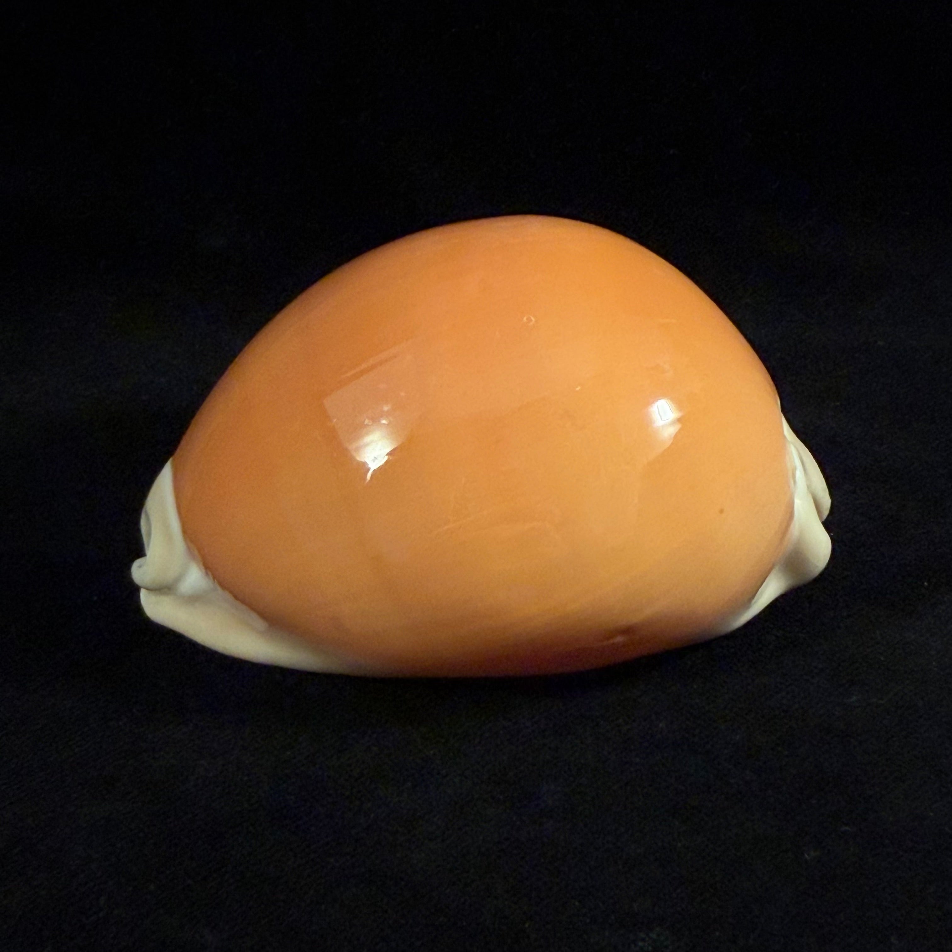 Callistocypraea aurantium (Gmelin, 1791) - 89,8mm