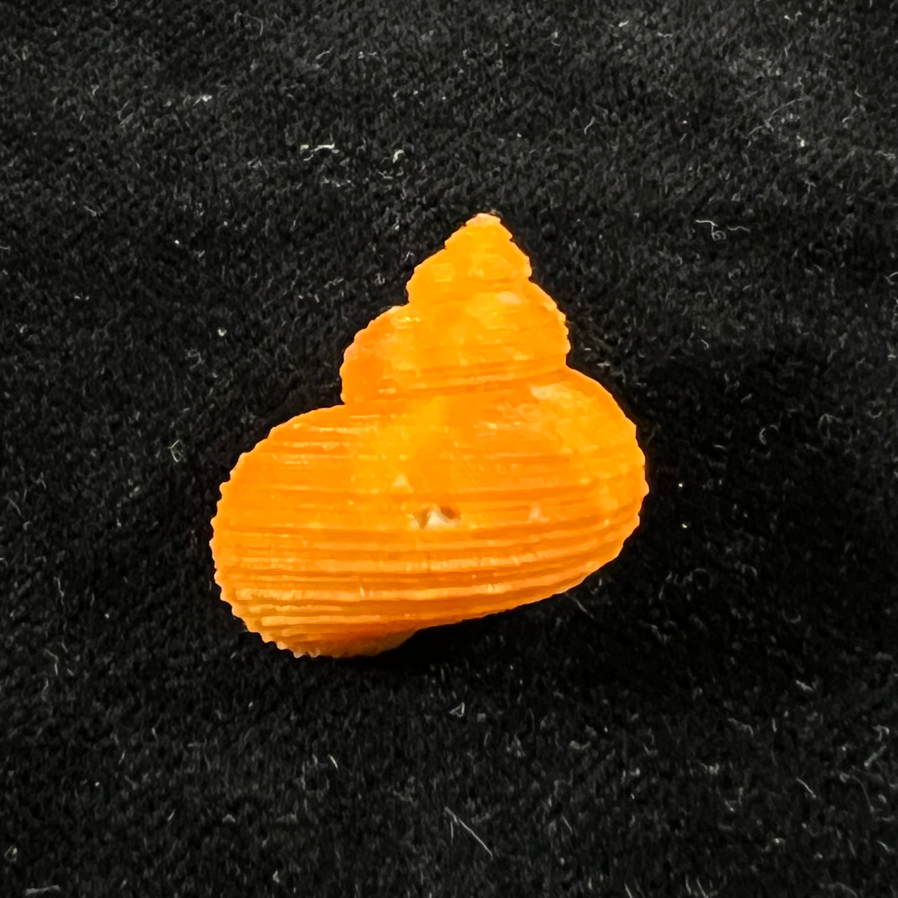涡轮平成普拉多，1999 - 22,1mm