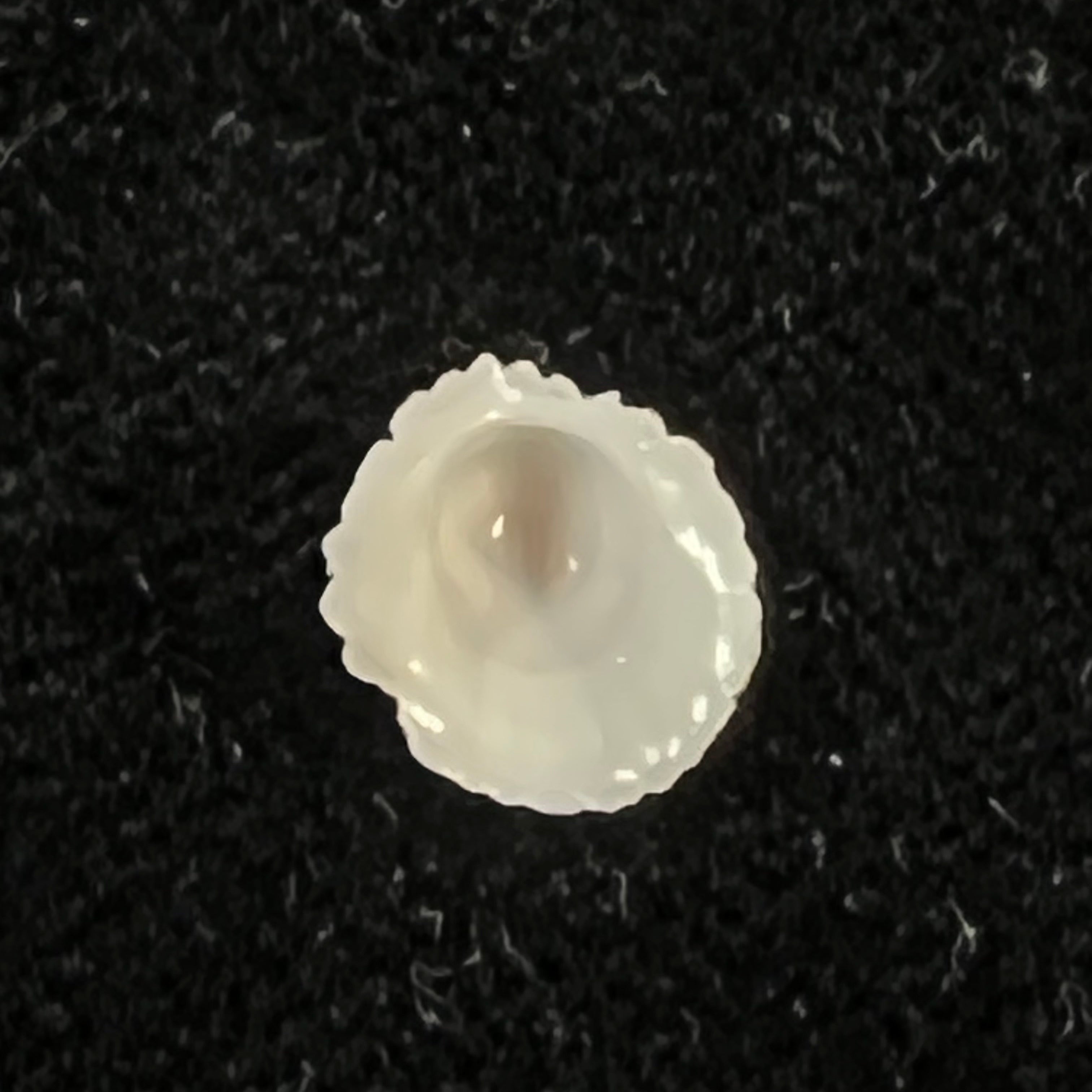 Hipponix grayanus Menke, 1853 - 8,5mm