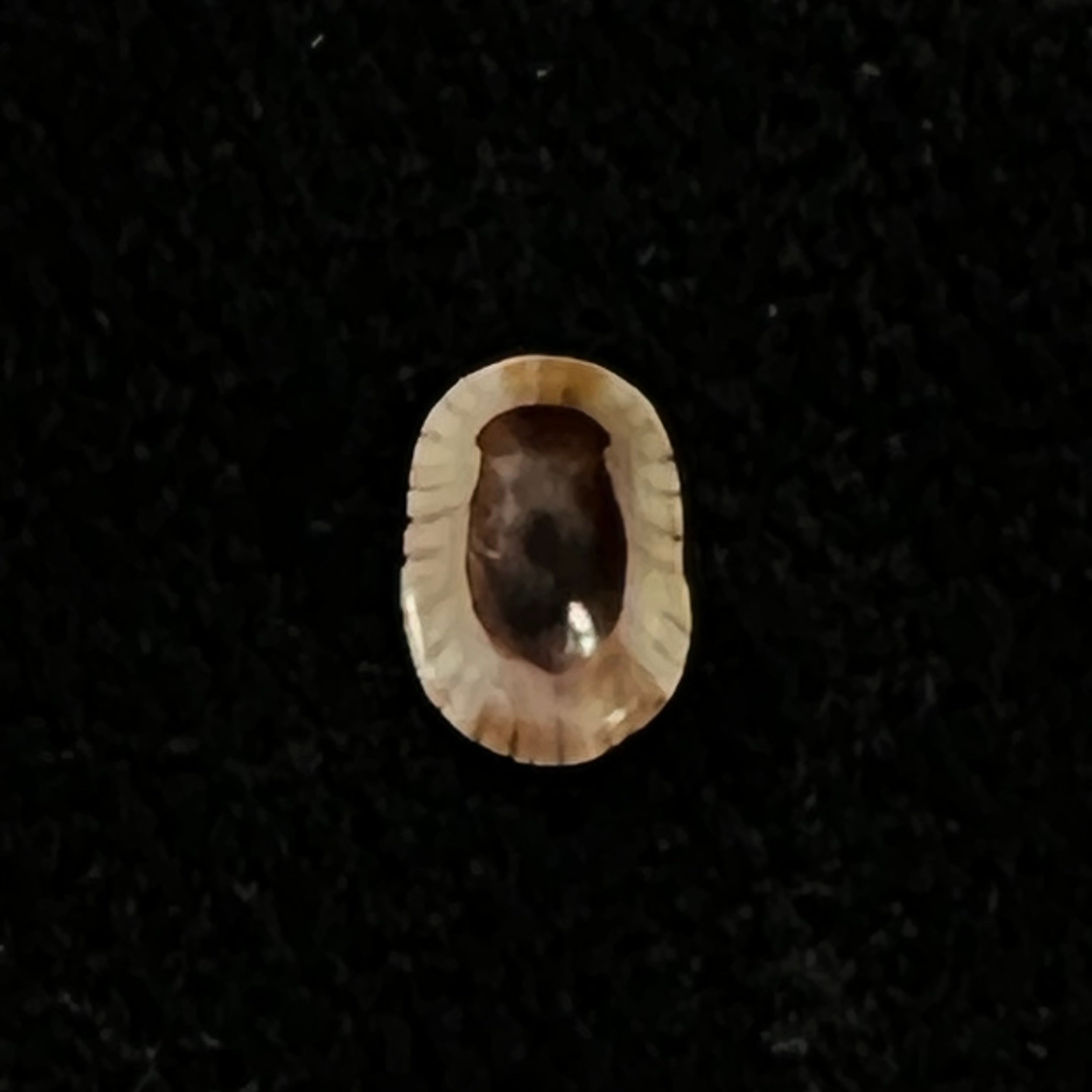 Lottia marcusi (Righi, 1966) - 5,7mm