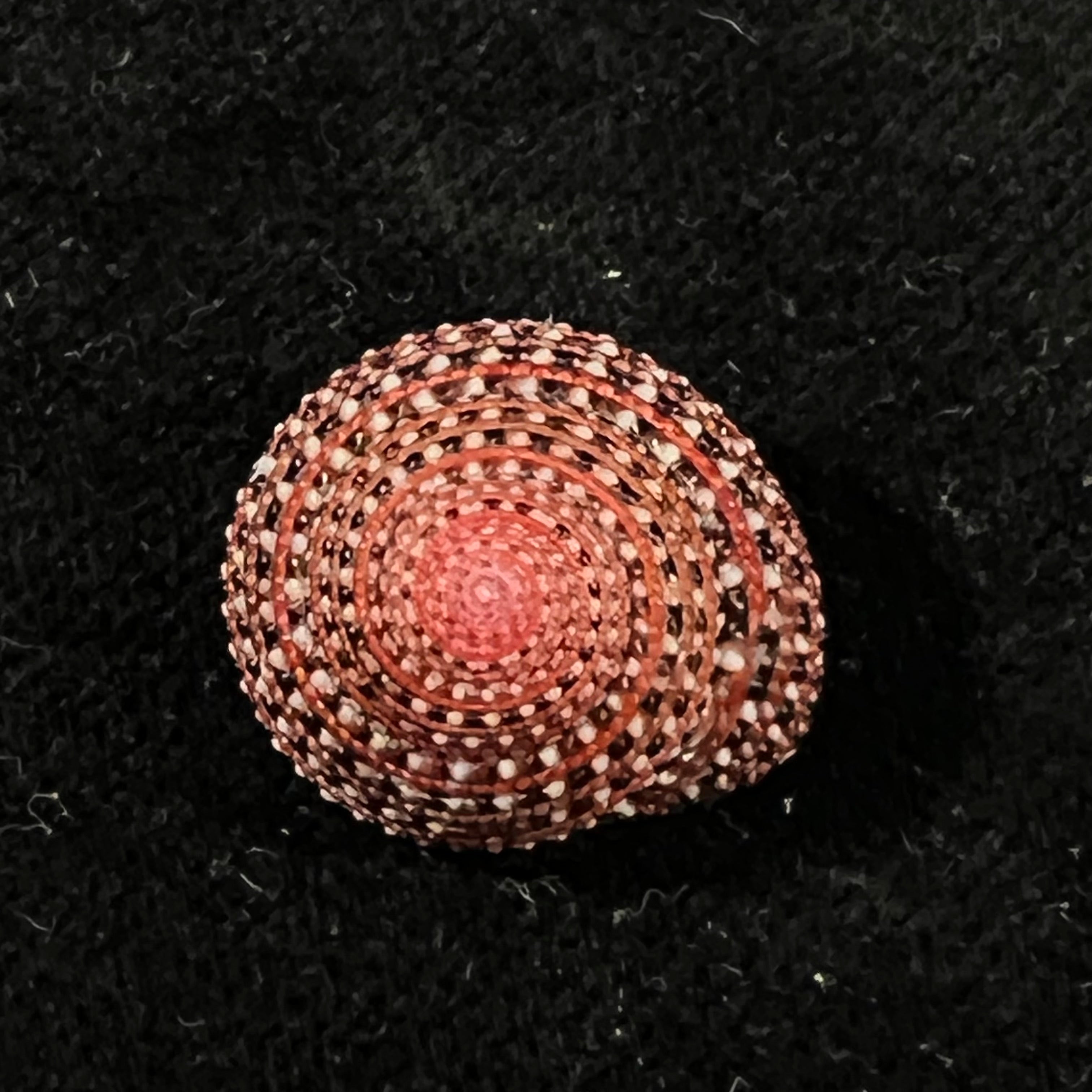 Clanculus pharaonius (Linnaeus, 1758) - 17,4mm