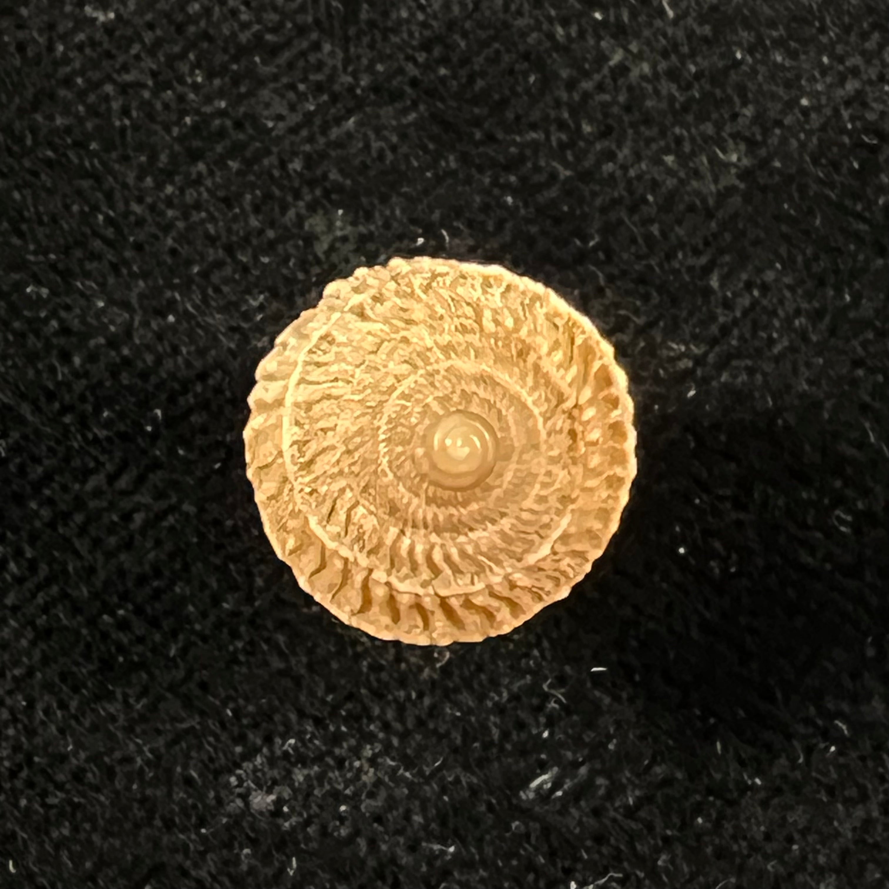 Cerion disforme nodali Clench & Aguayo, 1946 - 17mm