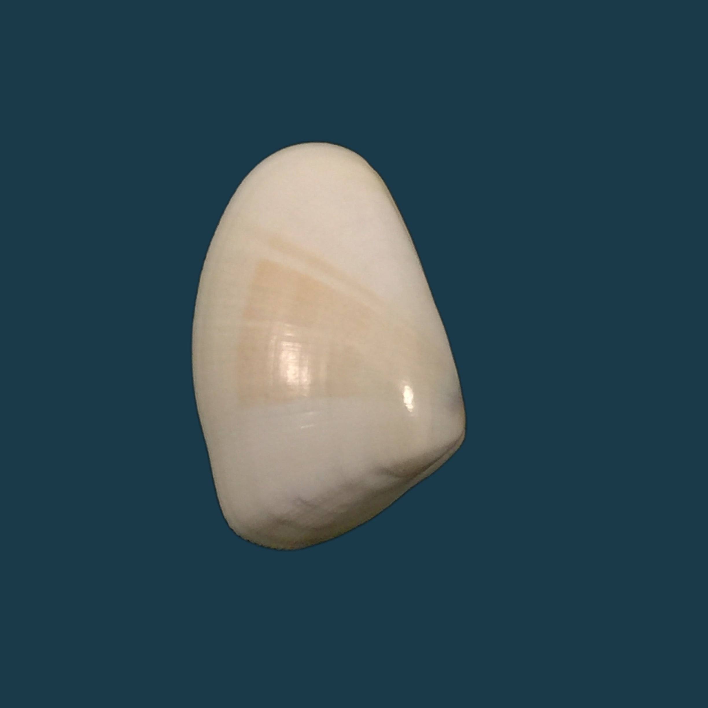 多纳克斯·古尔迪·达尔 1921 - 19,2mm